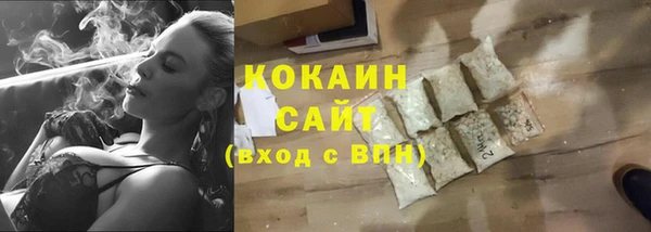 шишки Белоозёрский